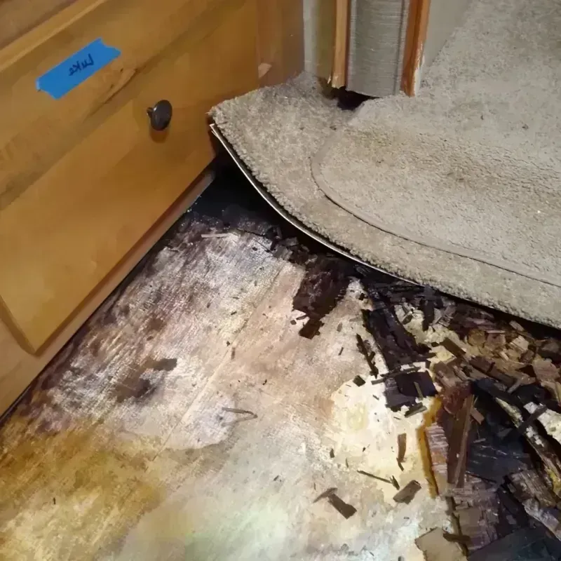 Wood Floor Water Damage in Goodyear, AZ